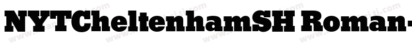 NYTCheltenhamSH Roman字体转换